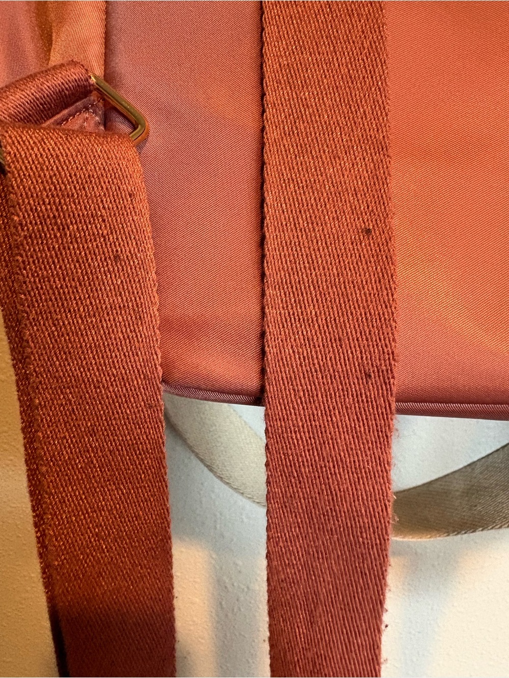 Haute Hippie Rust Nylon Crossbody Backpack with Tan Strap - Picture 4 of 16